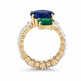 Twin Orbit Ring