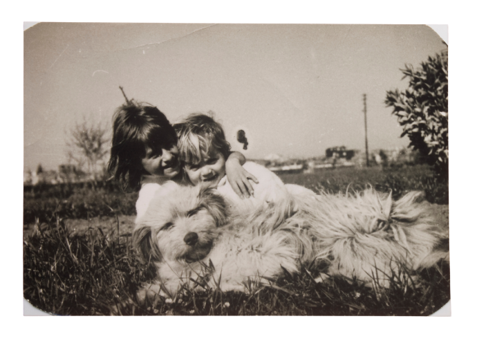 Slide image